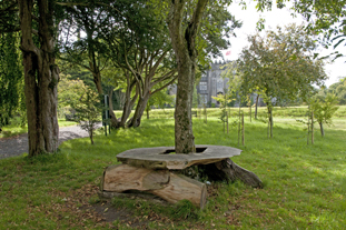Bench 2