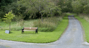 Bench 9