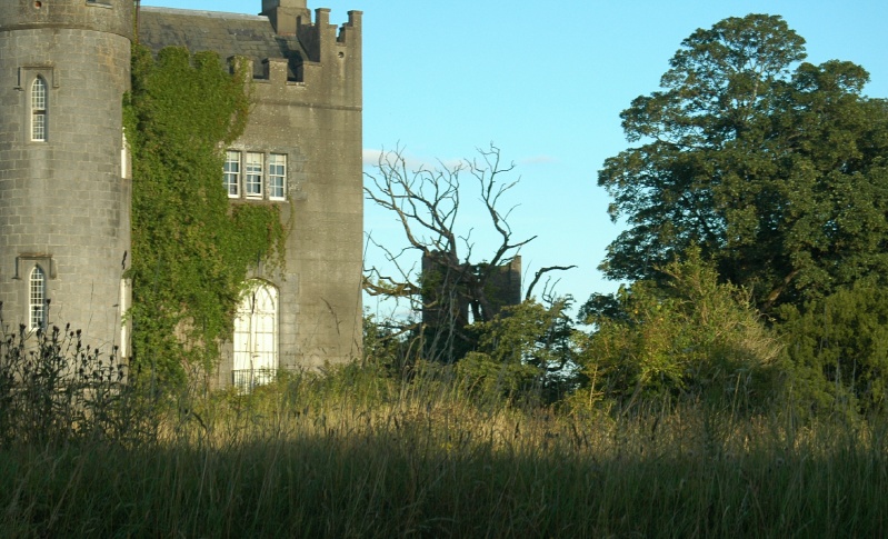 Birr Castle