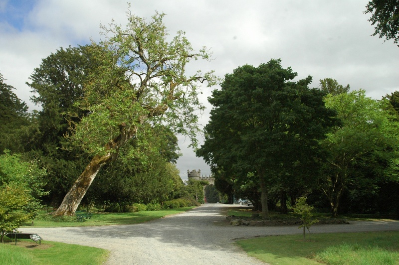 Birr Castle Demesne