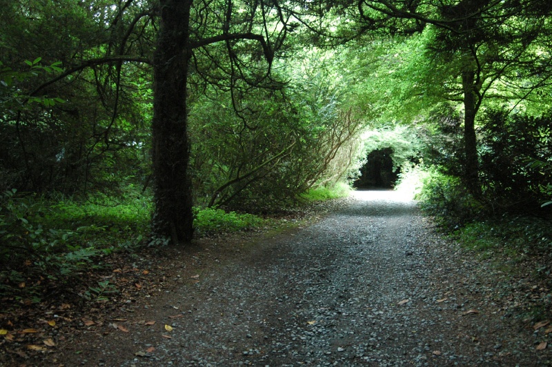 Birr Castle Demesne