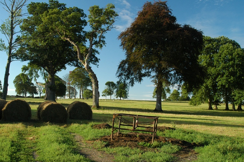 Birr Castle Demesne farmland