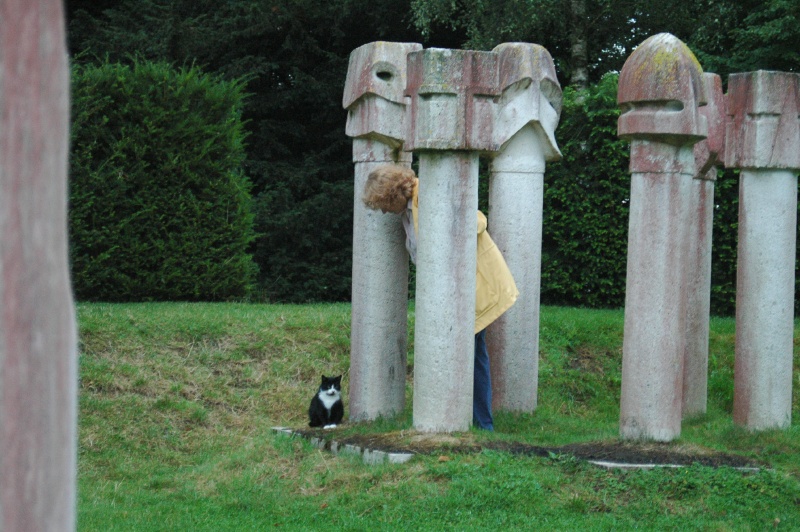 Birr Castle Demesne Bothy Cat Diane Harrington Theatro Verde