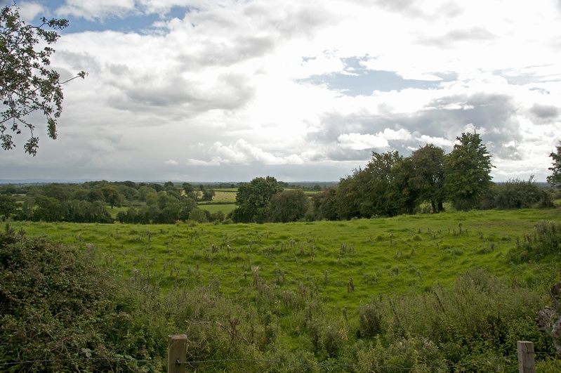 DSC_2114