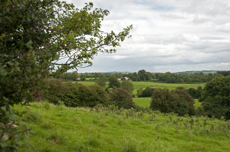 DSC_2130
