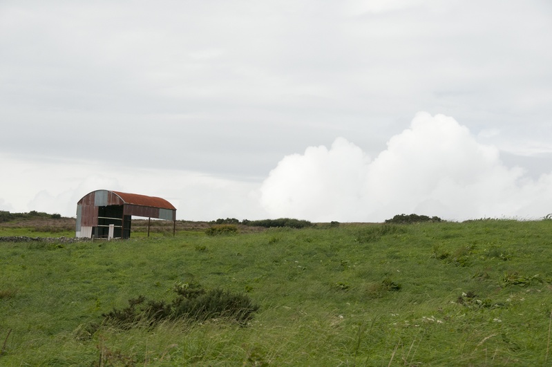 DSC_2031