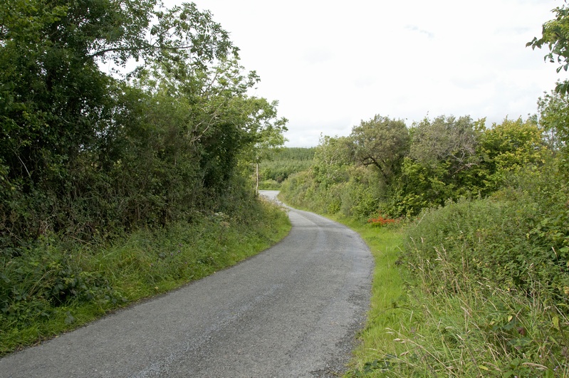 DSC_2033