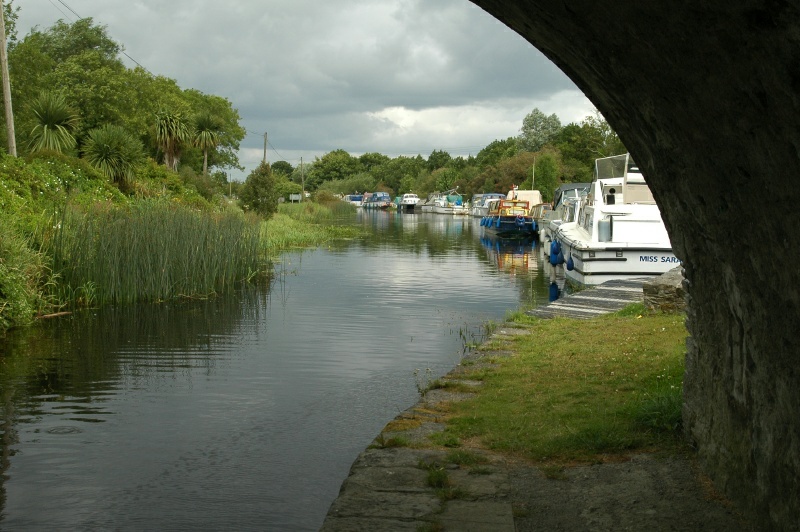 Shannon Harbour