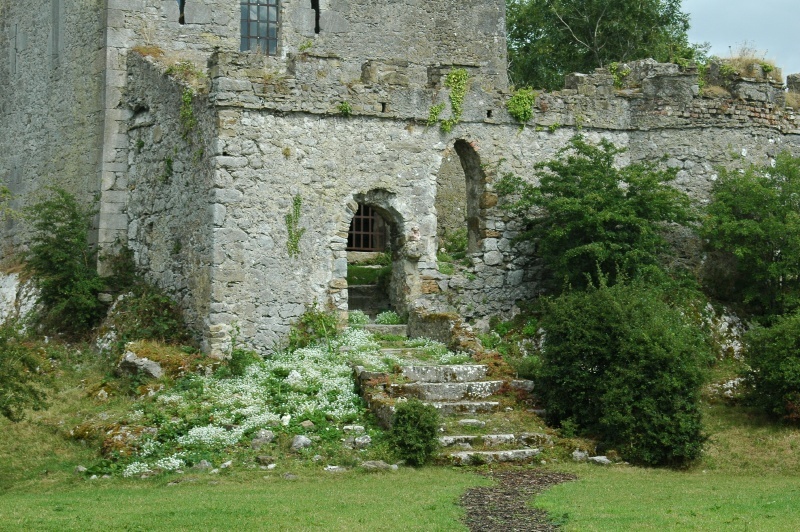 Clonony Castle