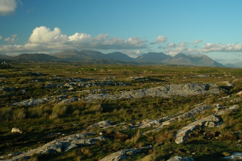 Twelve Bens (Twelve Pins) mountains and bog