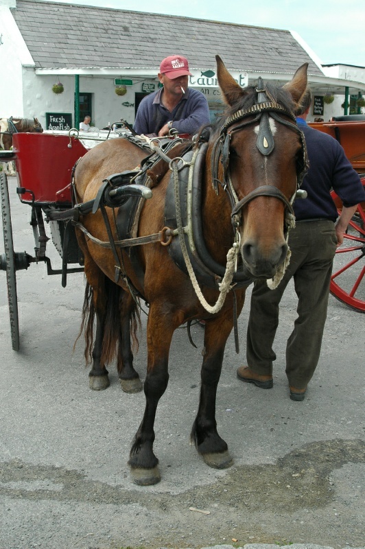 Aran Islands, horsecart, Bernard, Jessie, Kilronan