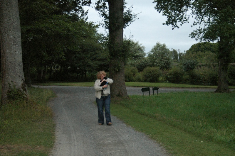 Diane Harrington, Bothy cat