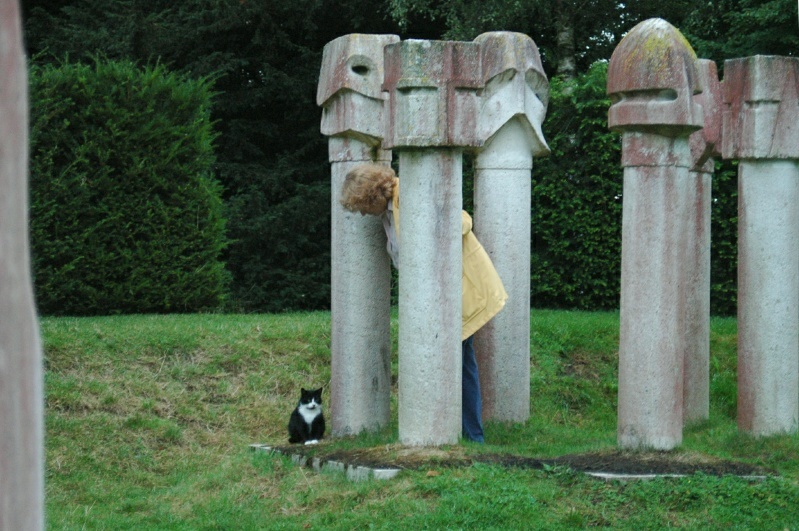 Birr Castle Demesne, Diane Harrington, Bothy cat, Theatro Verde