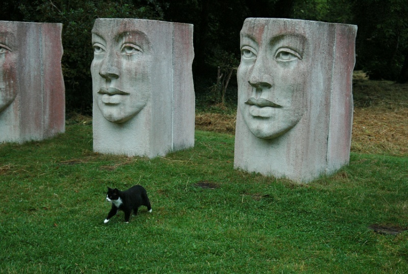 Birr Castle Demesne, Bothy cat, Theatro Verde