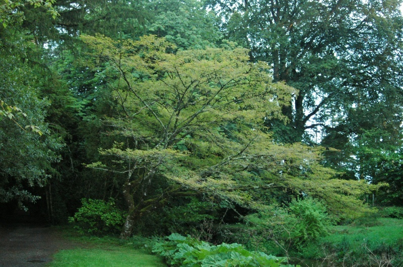 Birr Castle Demesne