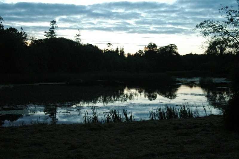 Birr Castle Demesne, lake, sunset