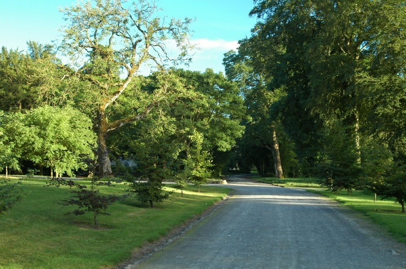 Birr Castle Demesne