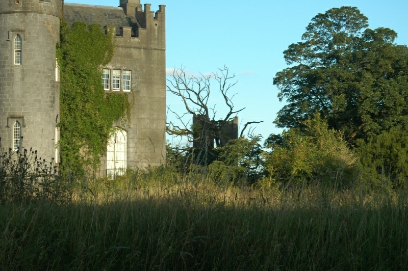 Birr Castle Demesne