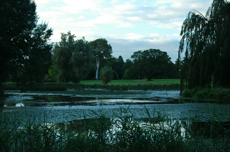 Birr Castle Demesne, lake