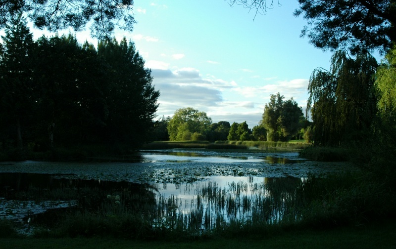 Birr Castle Demesne, lake