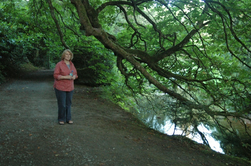 Birr Castle Demesne, Diane Harrington, river Camcor