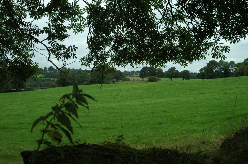 Irish countryside