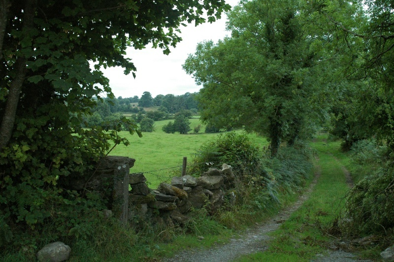 Irish countryside