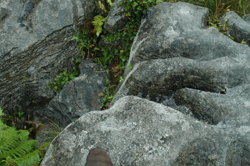 Burren karst