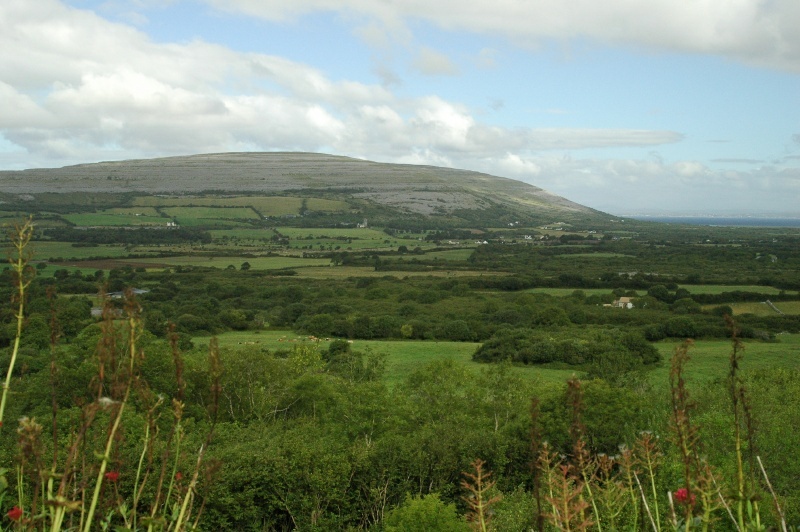 Burren