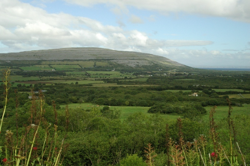 Burren