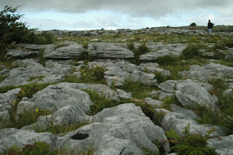 Burren karst