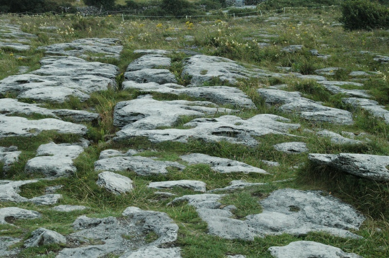 Burren karst