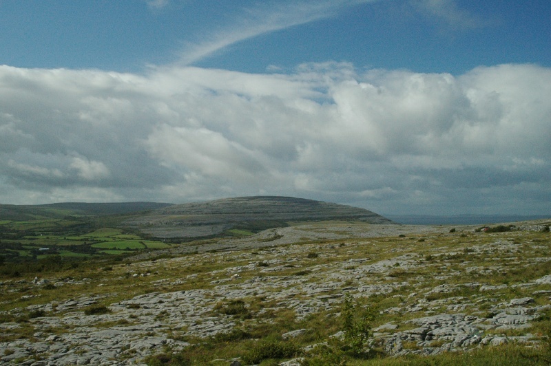 Burren