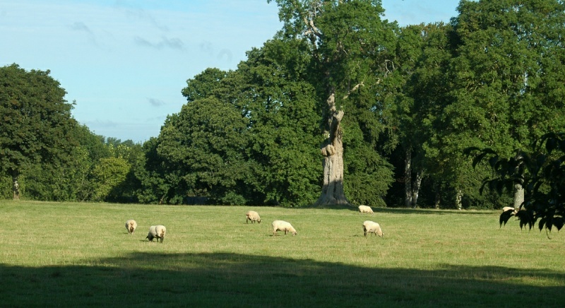 EireSlide-0242