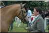 Connemara Pony Show, 2006