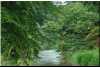 EireSlide-0337