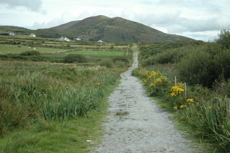 EireSlide-0403