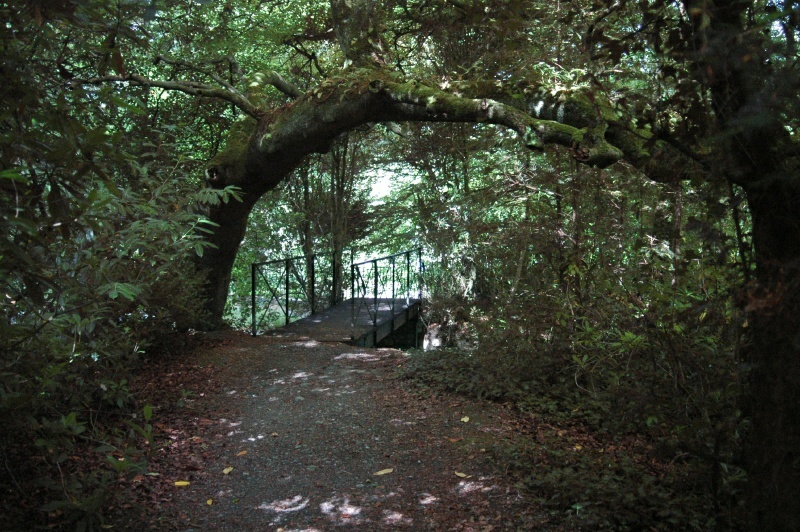 Birr Castle Demesne