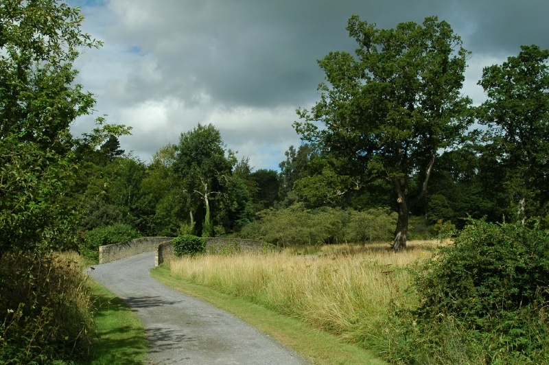 Birr Castle Demesne brick bridge