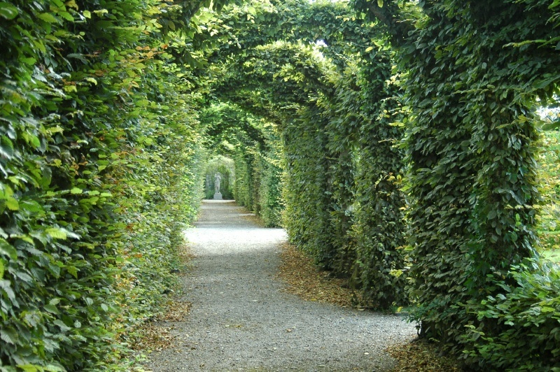 Birr Castle Demesne formal gardens