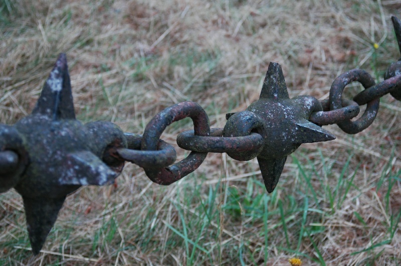 Birr Castle Demesne