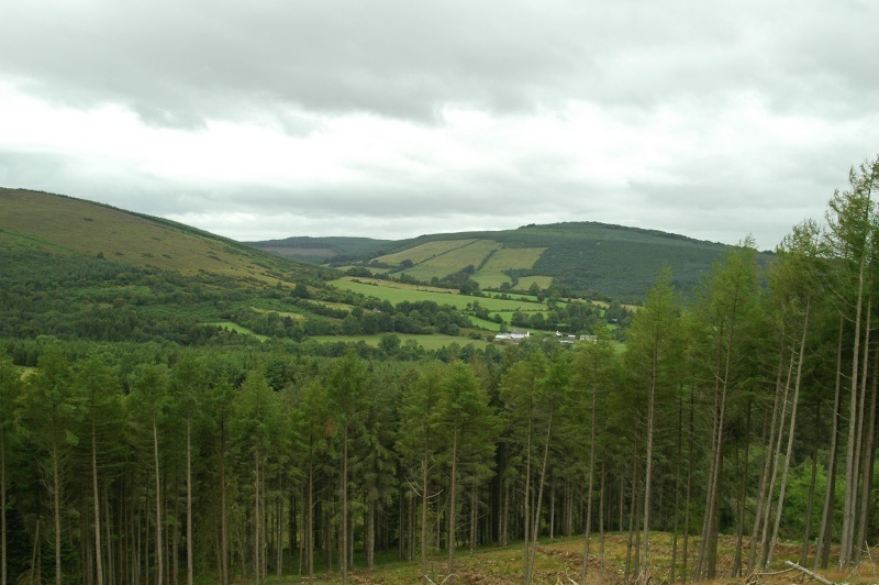 Slieve Bloom Mountains