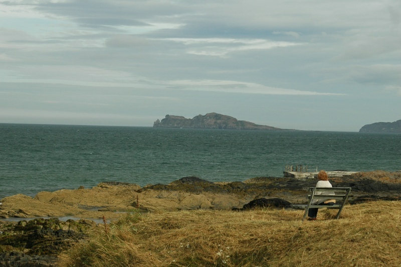 Eye of Ireland, Diane Harrington