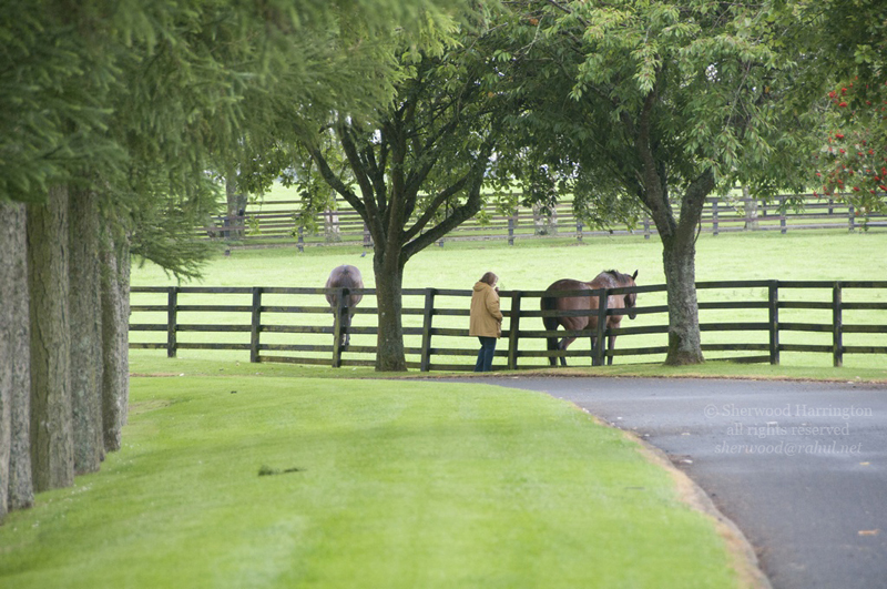 Eire2010-043