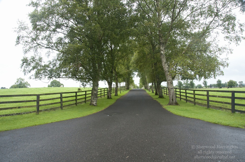 Eire2010-045