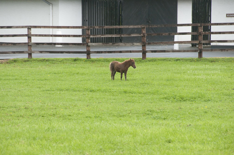Eire2010-047