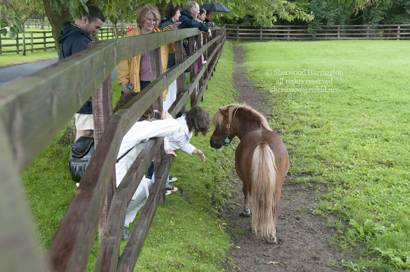 Eire2010-048