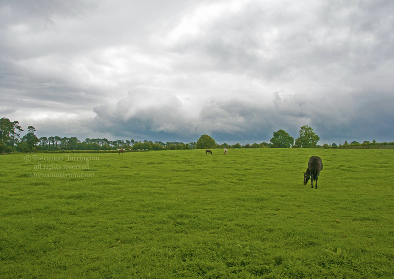 Eire2010-054