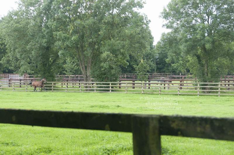 Eire2010-056