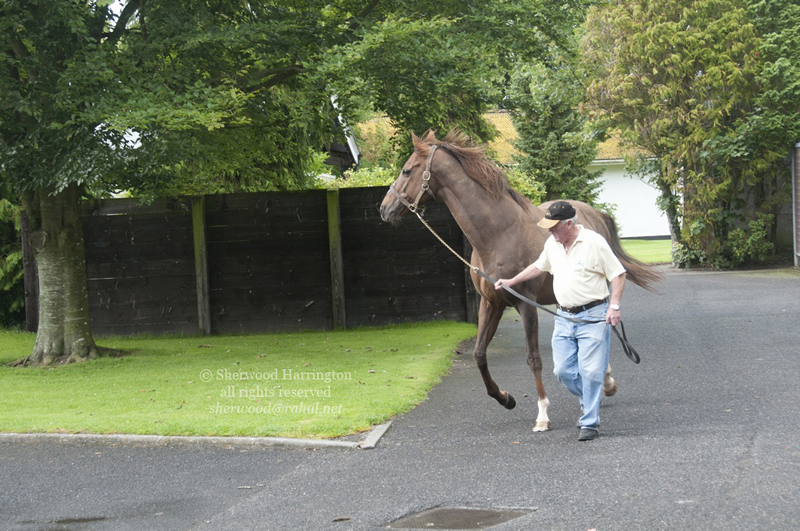 Eire2010-059